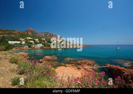 Plage d'Anthéor et le Cap Roux, Côte d'Azur, France Banque D'Images