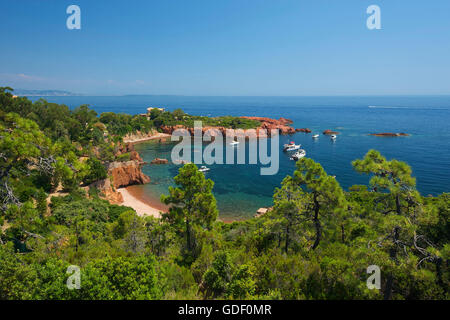 Plage d'Anthéor et le Cap Roux, Côte d'Azur, France Banque D'Images