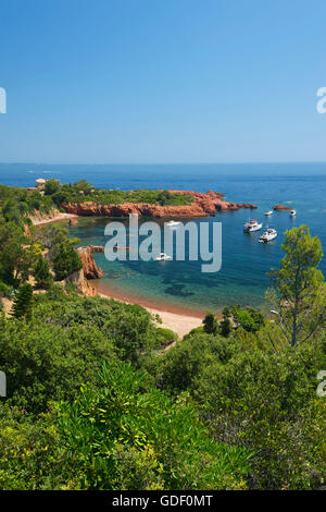 Plage d'Anthéor et le Cap Roux, Côte d'Azur, France Banque D'Images