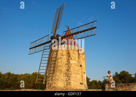 Moulin Alphonse Daudet près de Fontvieille, Provence Alpes Cote d'Azur, France M. Banque D'Images