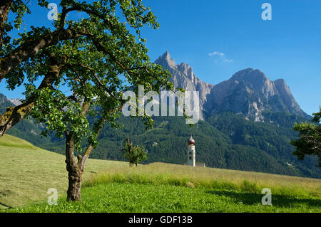 St Valentin, l'Alpe di Siusi, le Tyrol du Sud, Italie Banque D'Images