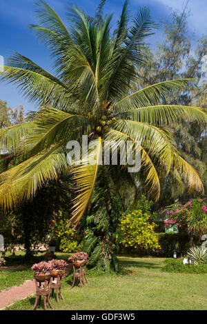 Jardin de l'hôtel Ninh Chu Resort, Phan Rang, Ninh Thuan, Vietnam Banque D'Images