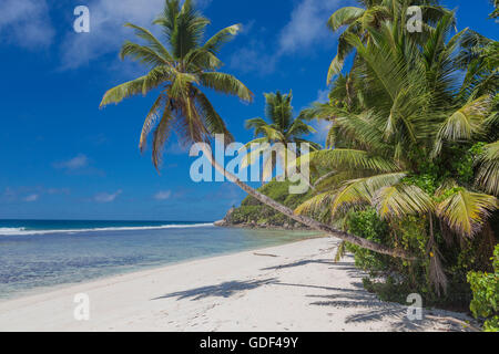 Plage Anse Royale, Mahe, Seychelles Banque D'Images