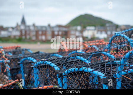 Une pile de casiers à homard et crabe (nasse) dans le port de North Berwick, East Lothian, en Ecosse. Banque D'Images