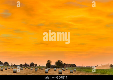 Heure de coucher du soleil bleu sur round bottes de foin dans un champ moissonné , milieu rural et bucolique atmosphère d'une chaude journée d'été Banque D'Images