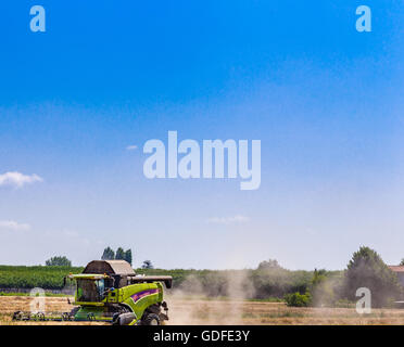 Batteuse en action dans un champ de blé rend la récolte sur une chaude journée d'été, l'ensileuse est au premier plan Banque D'Images