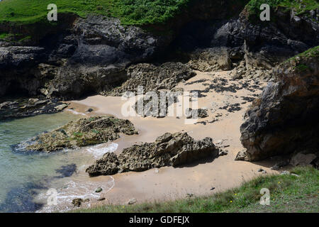 Broadhaven Sud, Stackpole, Pembrokeshire, UK Banque D'Images