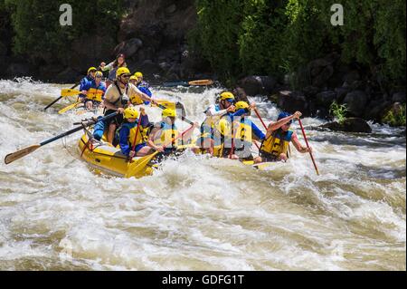 Rafting dans la rivière Klamath à Hells Corner dans le Klamath Wild and Scenic River, Oregon. Les rapides qui traverse une région éloignée ont une puissance nominale de classe III, IV et V, en fonction des niveaux d'eau. Banque D'Images