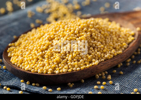 Millet sain biologiques crus dans une cuillère Banque D'Images