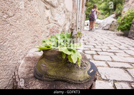 Flower,flower,en,vieux,bottes de randonnée de montagne Asolo usés,boot réutilisés recyclés comme porte-pot.Bulnes,village dans la région du Centre,Macizo Asturies.Randonnées Banque D'Images