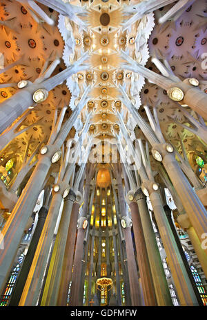 L'intérieur de la Sagrada Familia, le chef-d'œuvre de l'architecte Antoni Gaudi et "marque" de Barcelone, Catalogne, Espagne. Banque D'Images