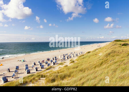 Plage et dune de sable. Plage couverte de roseaux, Allemagne, Sylt, Liste. Banque D'Images