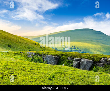 Vue sur le pic de haute montagne à partir de la colline couverte de rochers blancs et de conifères parmi l'herbe verte dans la lumière du matin Banque D'Images