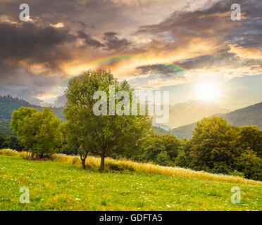 Prairie avec quelques arbres différents près de la forêt de montagne au coucher du soleil sur la colline de lumière Banque D'Images