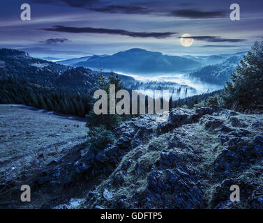 Vue depuis une falaise rocheuse de la vallée pleine de brouillard dans la forêt de conifères avec de hautes montagnes du Parc Naturel Apuseni en Roumanie dans la nuit Banque D'Images