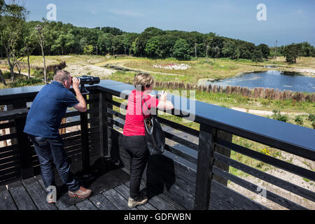 Les visiteurs à la montée à travers les jumelles de terrasse sur le toit, Zwin Nature Park, refuge d'oiseaux à Knokke-Heist, Belgique Banque D'Images