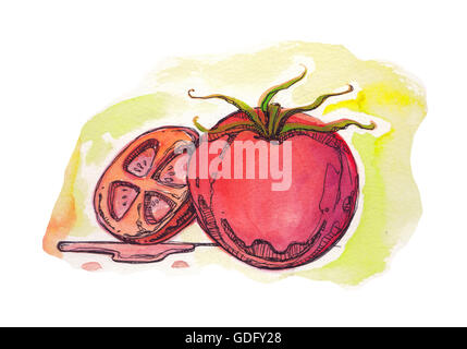 Illustration à la main ou d'un dessin d'une tomate Banque D'Images