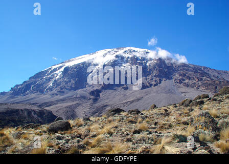 Kilimandjaro Banque D'Images