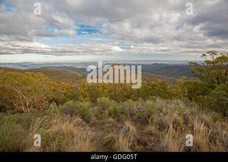 Vue imprenable de l'affût de vastes paysages de plages boisées et sommets dentelés au Mont Kaputar National Park, Australie Banque D'Images