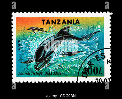 Timbre de Tanzanie représentant Dolphin. Banque D'Images