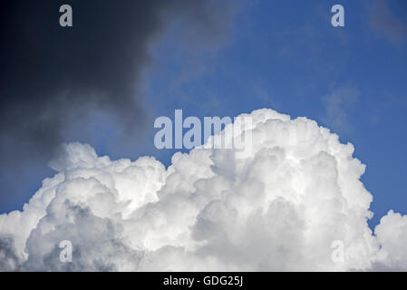 / Cumulus congestus cumulus bourgeonnants et nuage nuage de pluie noir couvrant le ciel bleu Banque D'Images