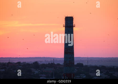 Silhouette d'une cheminée avec les oiseaux en plein vol au coucher du soleil. Ciel rouge coloré. Paysage industriel Banque D'Images