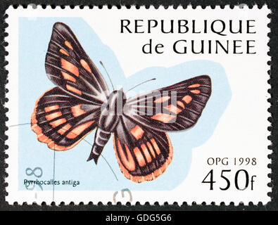 GROOTEBROEK ,les Pays-bas - MARS 20,2016 : un timbre imprimé par GUINEE, papillon, vers 1998 montre Banque D'Images