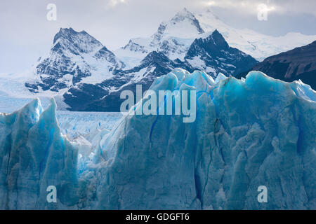 Glacier Perito Moreno,,Argentine,Patagonie Banque D'Images