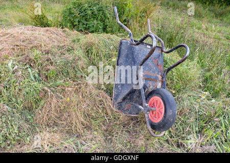 Une brouette renversée sur un tas de compost de gazon et les mauvaises herbes. Banque D'Images