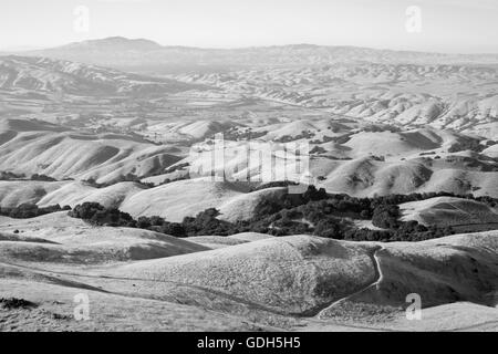 Collines dans la East Bay Parcs régionaux, en Californie Banque D'Images