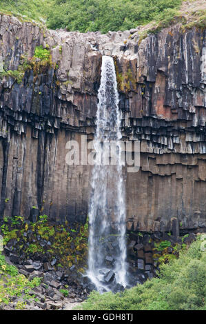 Islande : vue de Svartifoss, le noir de l'automne, une cascade de Skaftafell entouré de colonnes de lave sombre Banque D'Images