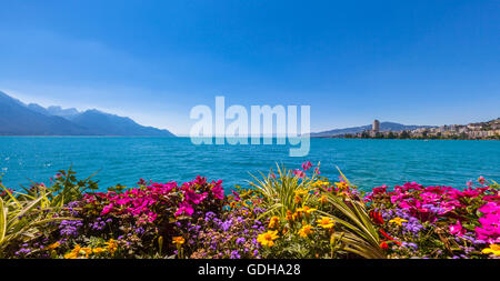 Panorama sur les Alpes, le lac de Genève et Montreux Vue urbaine avec des fleurs colorées en premier plan sur une journée ensoleillée, Canton Banque D'Images