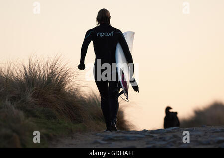 Surfer en silhouette le long de la côte grâce à la réalisation de l'herbe des dunes et le port de surf rip curl wetsuit with dog Banque D'Images