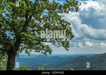 Une vue sur la campagne depuis la Caroline du Nord Blue Ridge Parkway Banque D'Images