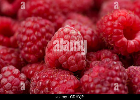 Frais et savoureux à la framboises sur une table en bois Banque D'Images