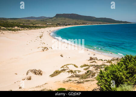 Dune de sable de plage de Bolonia, province de Cadix, Andalousie, Espagne Banque D'Images