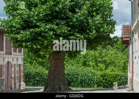 Le Château Lanessan, Blaye, Gironde, France Banque D'Images