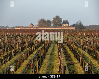 Château Latour et vignobles, Pauillac, Gironde, France Banque D'Images