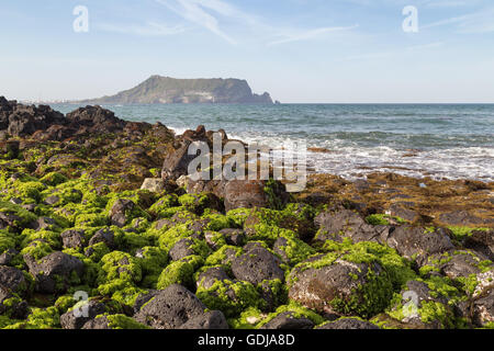 Des roches de lave noire couverte d'algues à Seopjikoji sur l'île de Jeju en Corée du Sud. Seongsan Ilchulbong est sur l'arrière-plan. Banque D'Images