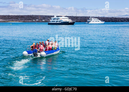 Convoyage bateau gonflable typique panga passagers d'un bateau de croisière à Baltra, îles Galapagos, Equateur, Amérique du Sud Banque D'Images