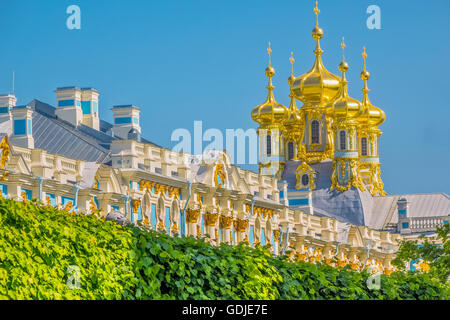 Dômes et toit du palais de Catherine Pushkin St Petersburg Russia Banque D'Images