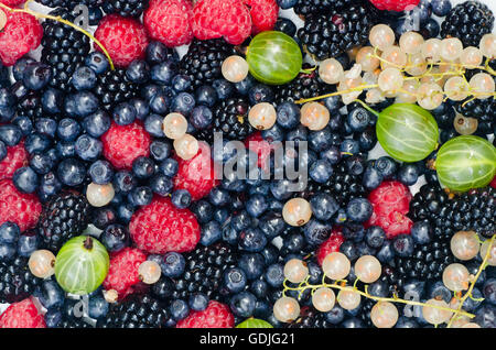 Les petits fruits colorés mixtes d'été Banque D'Images