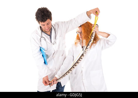 L'équipe vétérinaire un serpent de mesure isolés dans White Banque D'Images
