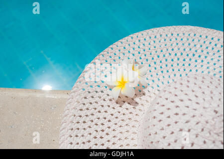 Deux plumeria flower sur hat contre fond de piscine Banque D'Images