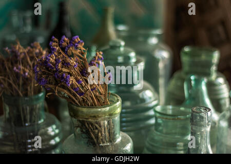 Fleurs violettes séchées dans un récipient en verre vintage Banque D'Images