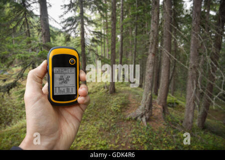 Trouver la bonne position dans la forêt via gps Banque D'Images
