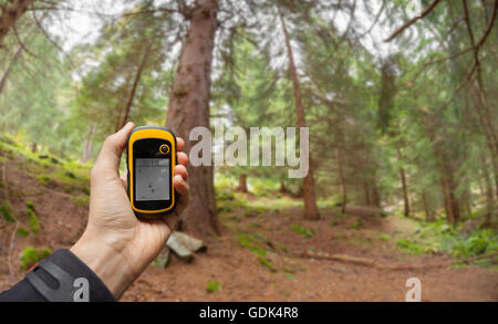 Trouver la bonne position dans la forêt via gps Banque D'Images