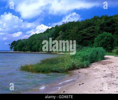 Géographie / voyage, Allemagne, Schleswig-Holstein, Ruegen, paysage, Grand Bodden, Jasmund Banque D'Images