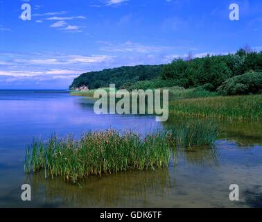 Géographie / voyage, Allemagne, Schleswig-Holstein, Ruegen, péninsule, paysage, Grand Bodden, Jasmund Banque D'Images