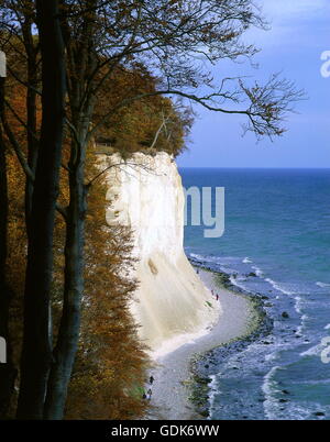 Géographie / voyage, Allemagne, Schleswig-Holstein, Ruegen Island, presqu'île, côte, Jasmund Koenigsstuhl, falaise de craie, côte escarpée, Banque D'Images